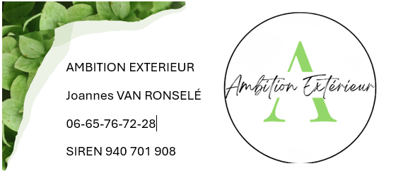 AMBITION EXTERIEUR